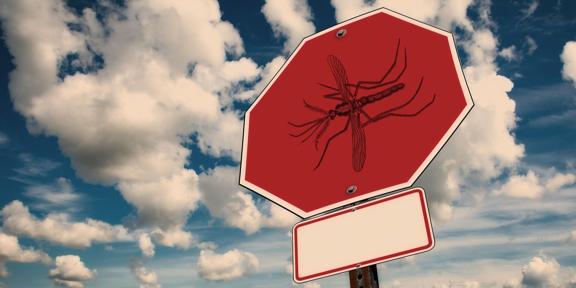 stop_insects_guard_repellent